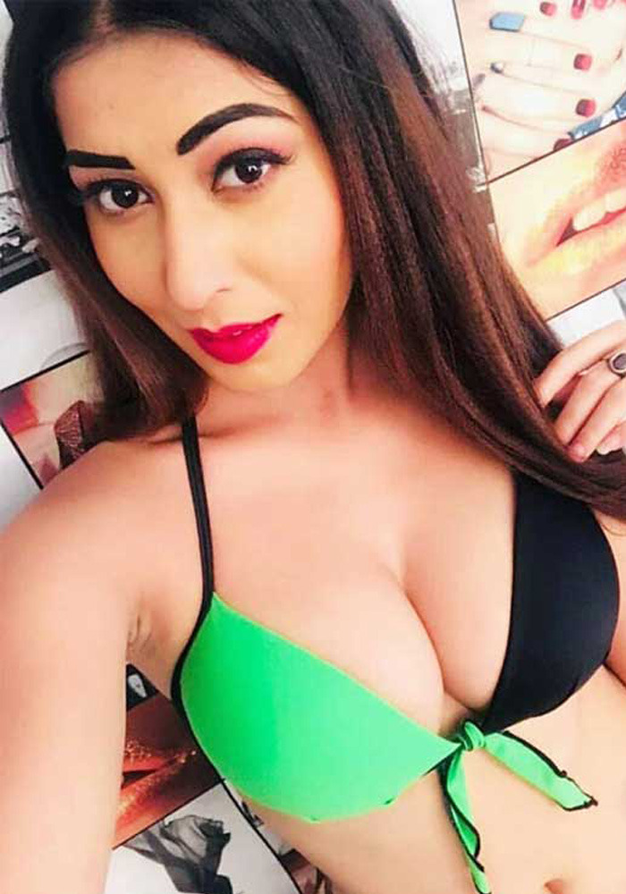 Ahmedabad Call Girl Service